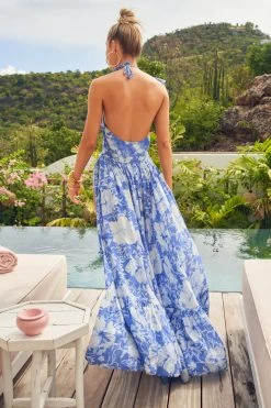 LSF Marinette Maxi Dress Dresses