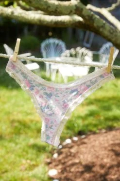 LSF Garden Dancer Thong Box New Arrivals